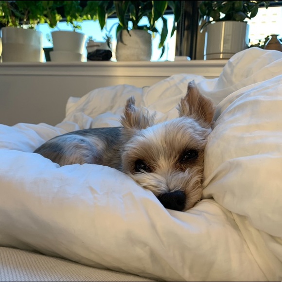 MY LITTLE BABY 🥰 - Picture 3 of 16